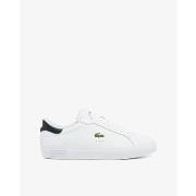 Lage Sneakers Lacoste 49SMA0081 POWERCOURT