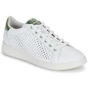 Lage Sneakers Geox D JAYSEN