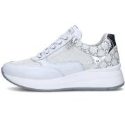 Lage Sneakers NeroGiardini E512930D