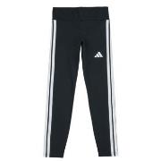 Legging adidas JD6473