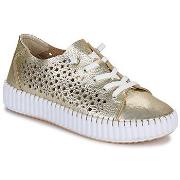 Lage Sneakers YOKONO SINTRA