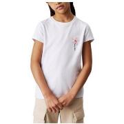 T-shirt Korte Mouw Calvin Klein Jeans -