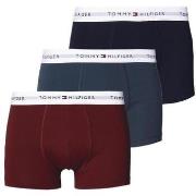 Boxers Tommy Hilfiger -