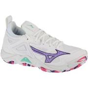 Fitness Schoenen Mizuno Wave Momentum 3