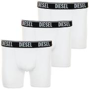 Boxers Diesel -