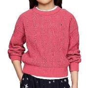 Trui Tommy Hilfiger -