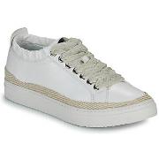 Lage Sneakers Adige QUINCY