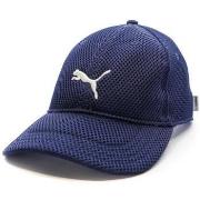 Pet Puma -