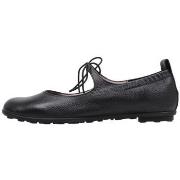 Ballerina's Hispanitas HV254076