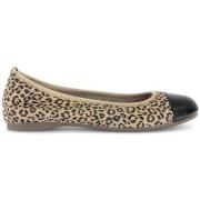 Ballerina's Gabor 64.126