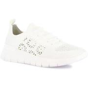 Lage Sneakers Grunland DSG-SC4582