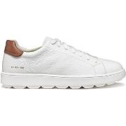Sneakers Geox Baskets Spherica ECUB-1