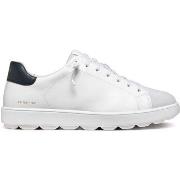 Sneakers Geox Baskets Spherica