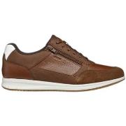 Sneakers Geox Baskets U Avery A