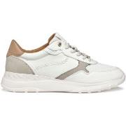 Sneakers Geox Baskets femme Alleniee