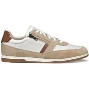 Sneakers Geox Baskets Renan A