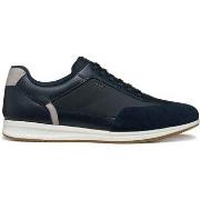 Sneakers Geox Baskets Avery C