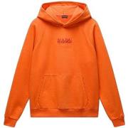 Sweater Napapijri Sweatshirt à capuche Cortona