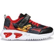 Lage Sneakers Geox -