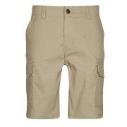 Korte Broek Dickies MILLERVILLE SHORT