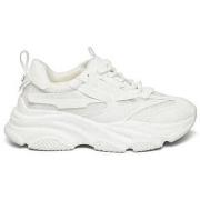 Sneakers Steve Madden Baskets Possess