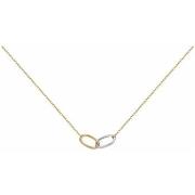 Ketting Phebus Collier Femme
