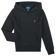 Sweater Polo Ralph Lauren LS PO HOOD
