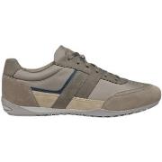 Sneakers Geox Baskets Wells