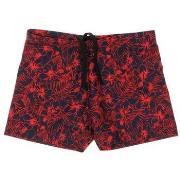 Zwembroek Sun Project -