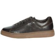 Hoge Sneakers Pregunta 242U413