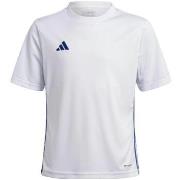Zwembroek adidas Tabela 23