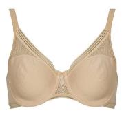 Minimizer bh Triumph Infinite Sensation W01