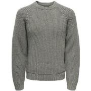 Trui Only &amp; Sons -