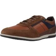 Sneakers Geox U RENAN