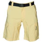 Korte Broek Columbia Silver Ridge Utility Cargo Shorts