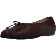 Ballerina's Wonders A61172