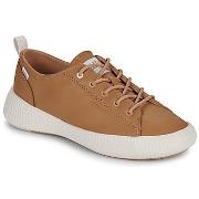 Lage Sneakers Palladium PALLANOVA LO LTH