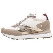 Lage Sneakers Gioseppo HEMLOCK