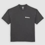 T-shirt Korte Mouw Dickies SLAYDEN GD