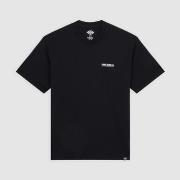 T-shirt Korte Mouw Dickies BURNS TEE SS