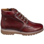 Enkellaarzen Zapp BOTTINES 22254