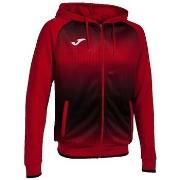 Sweater Joma Tiger V