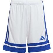 Korte Broek adidas Squa25 Sho Y