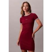 Korte Jurk Calvin Klein Jeans SS COLOR BLOCK COTTON RI