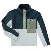 Fleece Jack Patagonia K'S MICRODINI 1/2 ZIP P/O