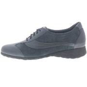 Sneakers Schneider 14528