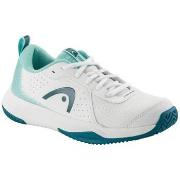 Nette Schoenen Head Sprint Court 4.0 Allcourt