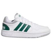 Lage Sneakers adidas Hoops 3.0