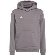 Sweater adidas Entrada 22 Hoody