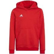 Sweater adidas Entrada 22